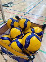 Mikasa V200W Official Replica Volleyball Size 5 Indoor Match Ball - Image 8