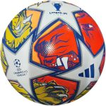 Adidas UEFA Champions League 2023-24 Group Stage  Match Ball - Image 3