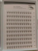 Wispy Eyelash Clusters Black Brown Pre-Glued — Instant Natural Lash Set - Image 8