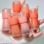 Nude Shades Lip Gloss 6 Pack High Pigment 100g