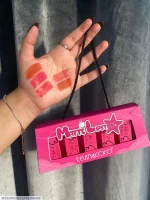 High Pigmented Pink Lipstick - Bold Coverage - 5 Pcs Pack