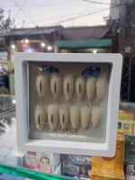 Cat Eye Fake Nails 12Pcs Premium Collection ABS - Image 5