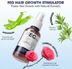 FEG Hair Growth Spray 1 Fl Oz Anti-Dandruff & Frizz Control - Image 6
