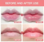 Moisturizing Lip Balm/ Lip Honey With Wooden Stick For Applying 2 Pcs Pack Price - Image 6
