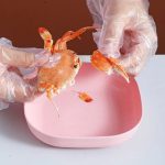 10Pcs Multi-function Spit Bone Plate Set Household Food Grade Plastic Elliptical Plate Set - Image 3