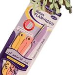 Pack Of 3- Feather Flamingo Facial Razor for Face - Image 3