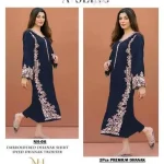 2 Piece Embroidered Dhanak Suit for Women - Blue