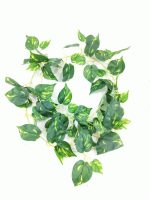 Green leaves bail Greenhome Plant Simulated Wide Application Plastic Decorative Green Vine Decor for Home - Image 2