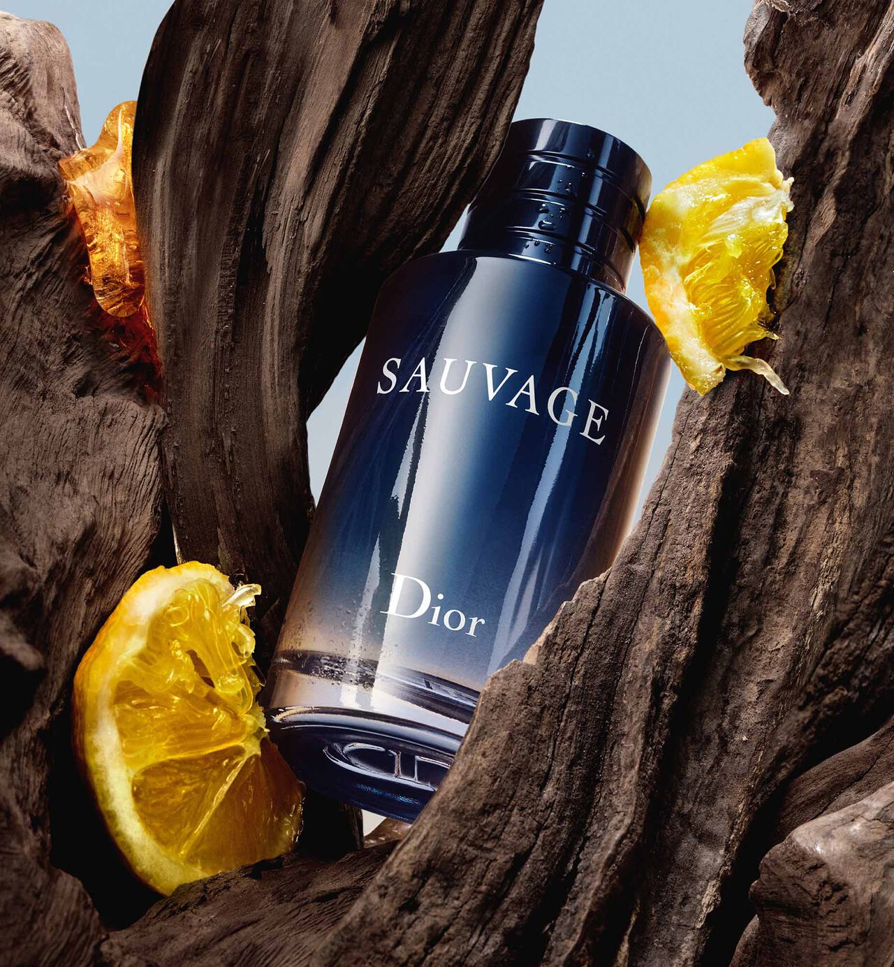 Sauvage_Refill_S222_1850x2000-10.jpg Dior Sauvage Eau de perfume | EDP | Long Lasting Fragrance 8 to 12 hours long lasting 100ml | Best Quality Perfume - Image 1