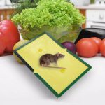 Reusable Expert Mouse & Rat Glue Trap â€“ Heavy Duty, Strong Adhesive, Pre-Baited, Non-Toxic, Odorless, Child-Safe Pest Control for Rodents, Insects, and Bugs - Image 3