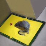 Reusable Expert Mouse & Rat Glue Trap â€“ Heavy Duty, Strong Adhesive, Pre-Baited, Non-Toxic, Odorless, Child-Safe Pest Control for Rodents, Insects, and Bugs - Image 4