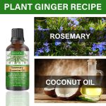 30ml Rosemary Hair Care Essential Oil Anti Hair Loss Growth Essential Oil Hair Care Nourishing Scalp Essential Oil - Image 2