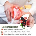 10pcs Knee Plaster Sticker Wormwood Extract Knee Joint Ache Fast Pain Relieving Paster Knee Rheumatoid Arthritis Body Patches - Image 4