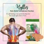 HYLLIS Pain Relief Patches - 10 Neck Pain Patches / Safe & Natural Neck & Back Pain Relief Products - Image 2