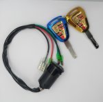 Ignition Switch with Computerized fancy Keys for 125cc bike new style two fancy computerize keys for all 125  bikes - Image 2