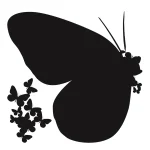 Flying Butterfly Wooden Wall Decor  Butterflies  WALL Decor - Image 2